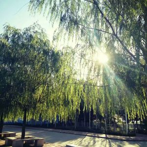 500第一导航亚洲精品导航
