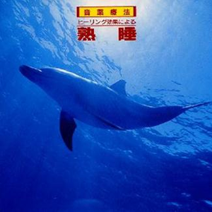 500第一导航亚洲精品导航
